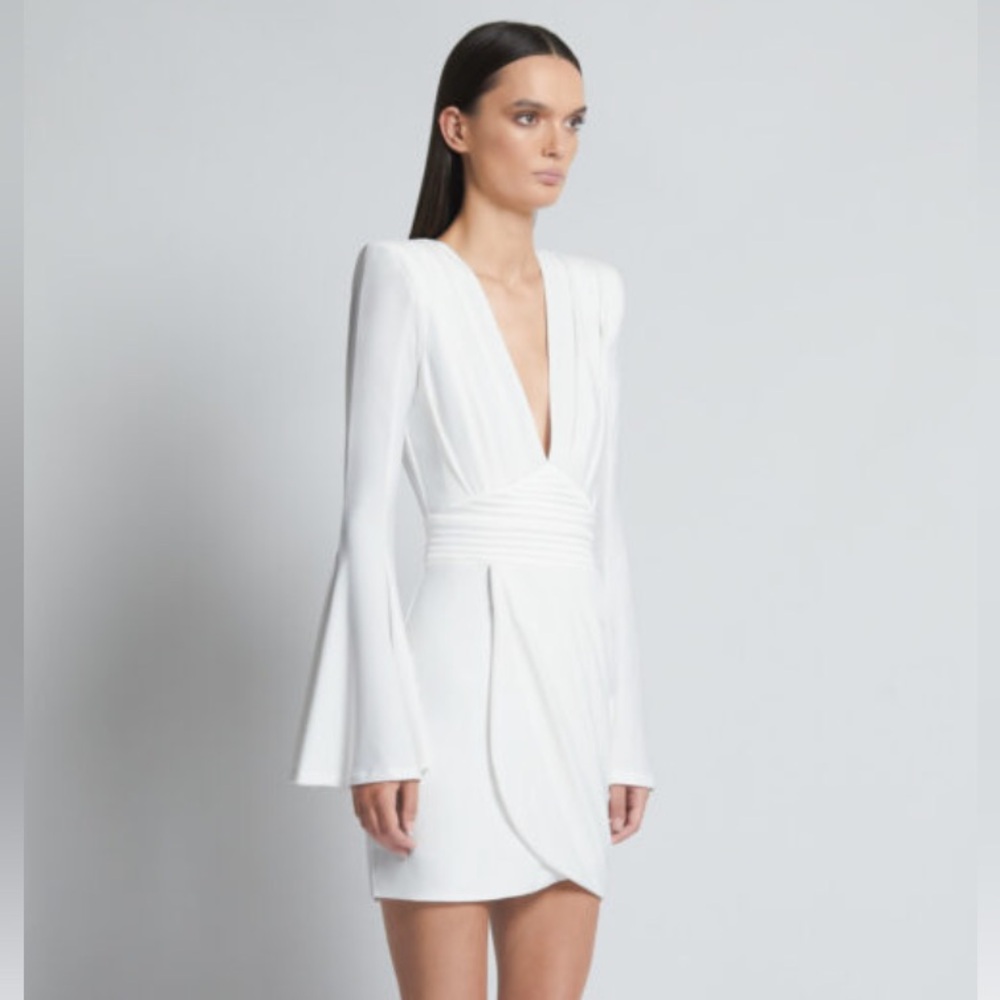 NWT ZHIVAGO THE FAN DRESS Size 6 - Picture 4 of 15